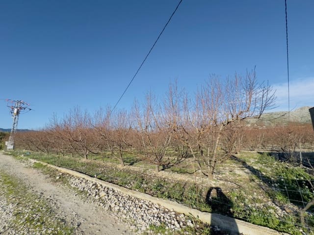 Quinta/Casa Rural para venda em Beniarbeig - 175 000 € (Ref: 9925054)