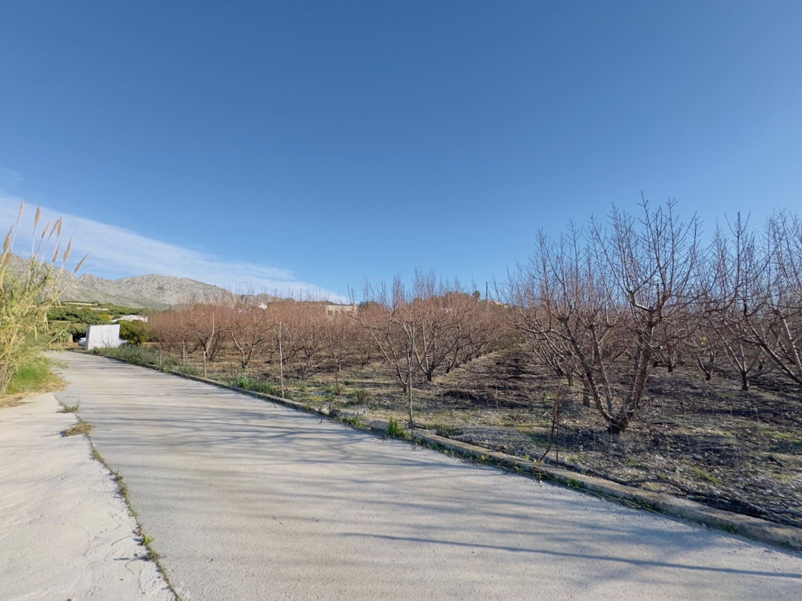 Finca/Country House for sale in Beniarbeig - € 175,000 (Ref: 9925054)