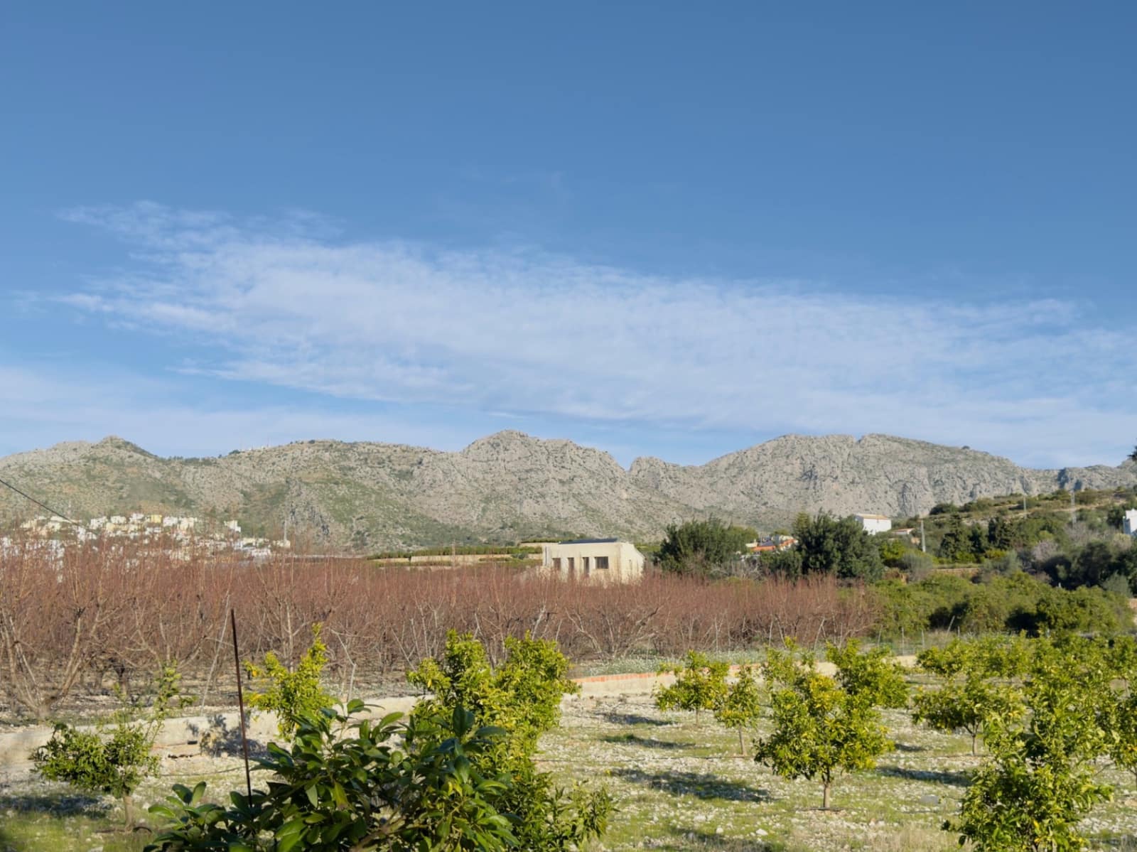 Finca/Country House for sale in Beniarbeig - € 175,000 (Ref: 9925054)