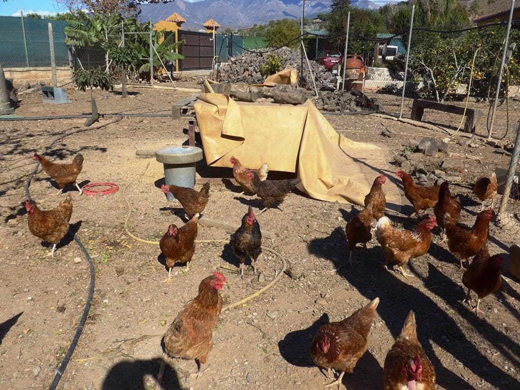 6 soverom Finca/Herregård til salgs i Motril med svømmebasseng garasje - € 784 900 (Ref: 6766847)