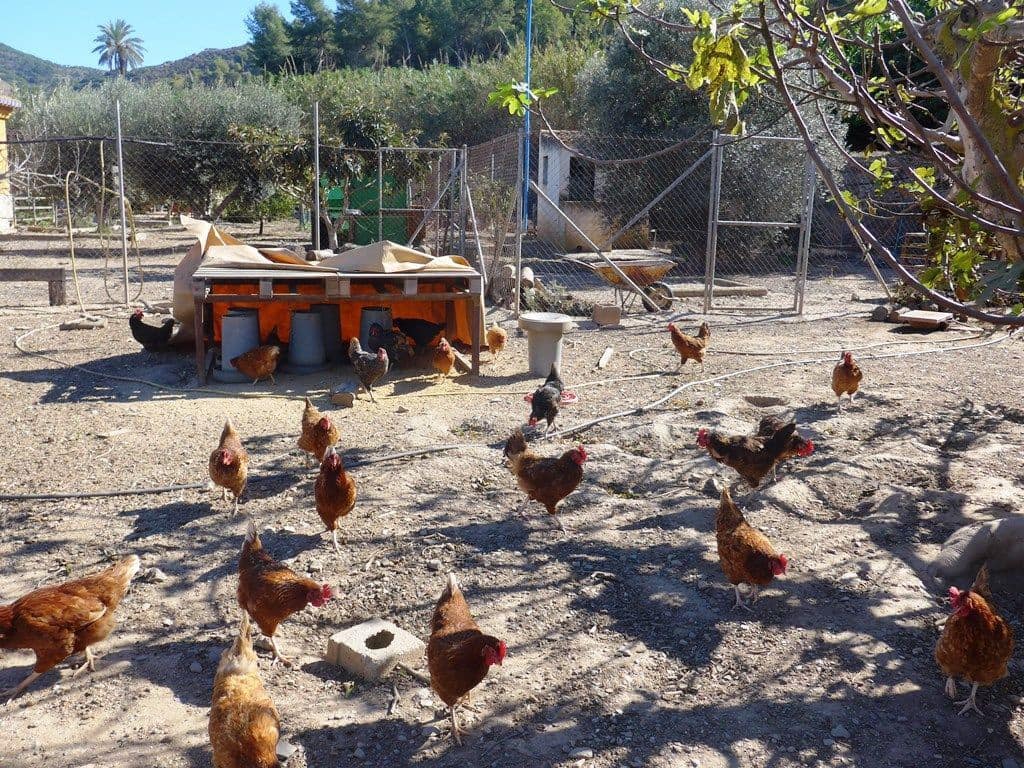 6 soverom Finca/Herregård til salgs i Motril med svømmebasseng garasje - € 784 900 (Ref: 6766847)