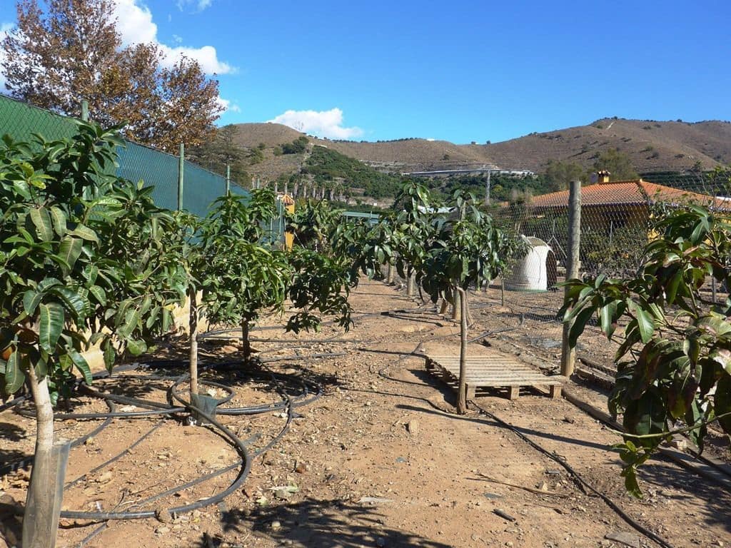 6 soverom Finca/Herregård til salgs i Motril med svømmebasseng garasje - € 784 900 (Ref: 6766847)