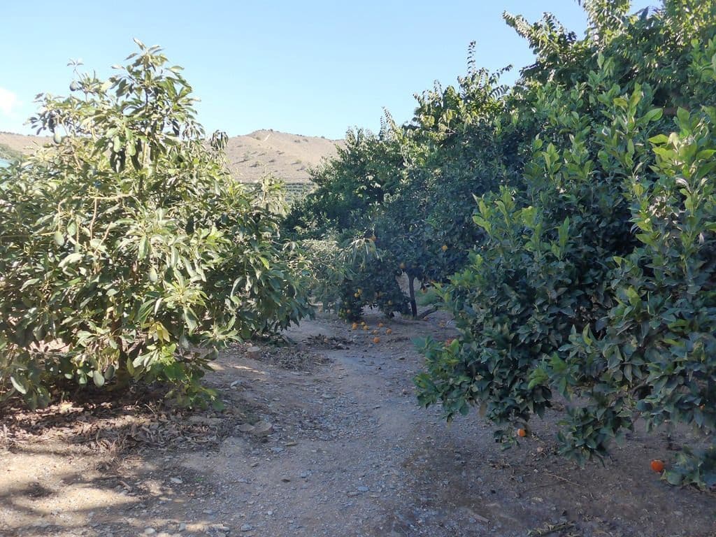 6 soverom Finca/Herregård til salgs i Motril med svømmebasseng garasje - € 784 900 (Ref: 6766847)