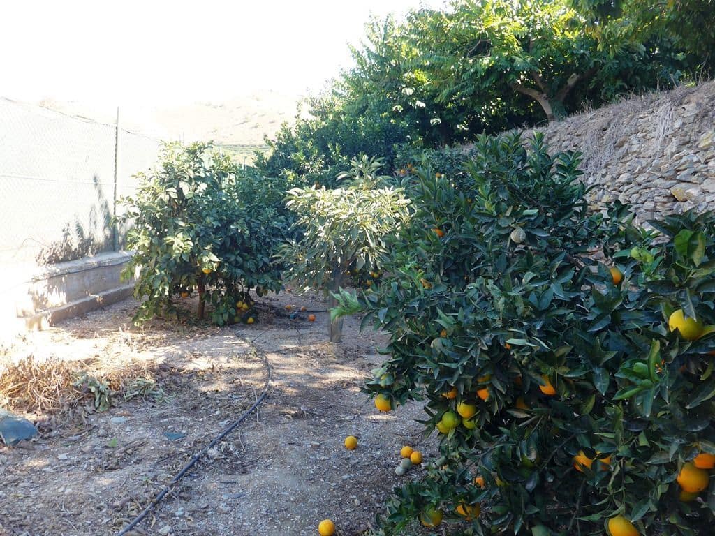 6 soverom Finca/Herregård til salgs i Motril med svømmebasseng garasje - € 784 900 (Ref: 6766847)