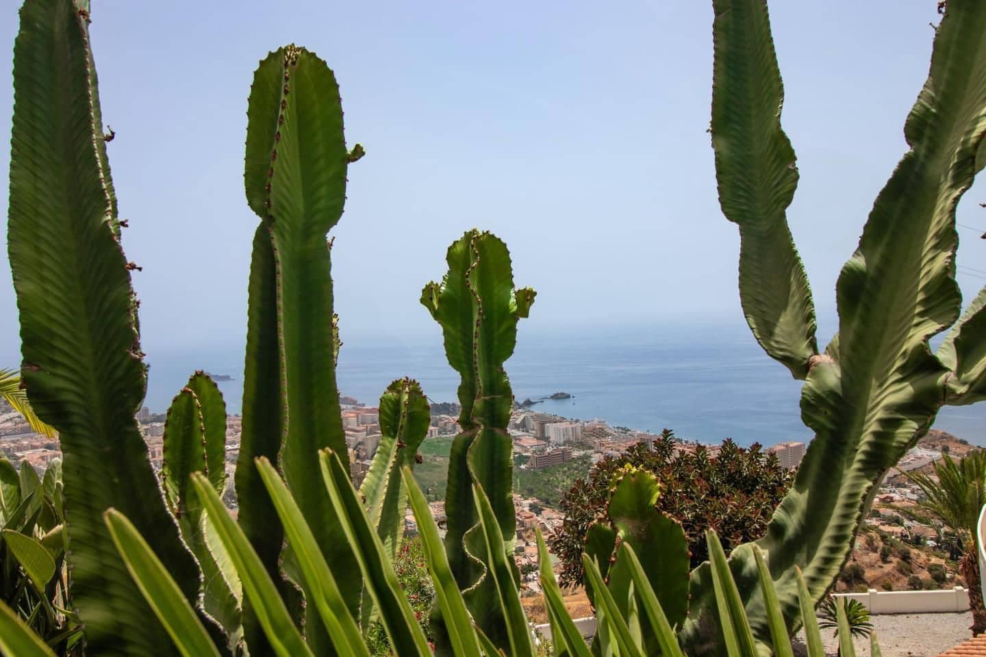 5 soverom Villa til salgs i Almunecar med svømmebasseng garasje - € 945 000 (Ref: 8864561)