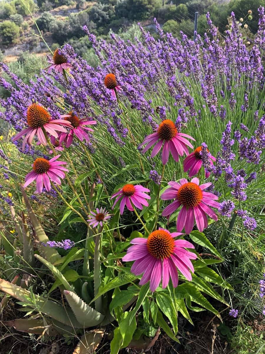 4 soveværelse Finca/Landehus til salg i Almunecar med swimmingpool garage - € 499.000 (Ref: 9008398)