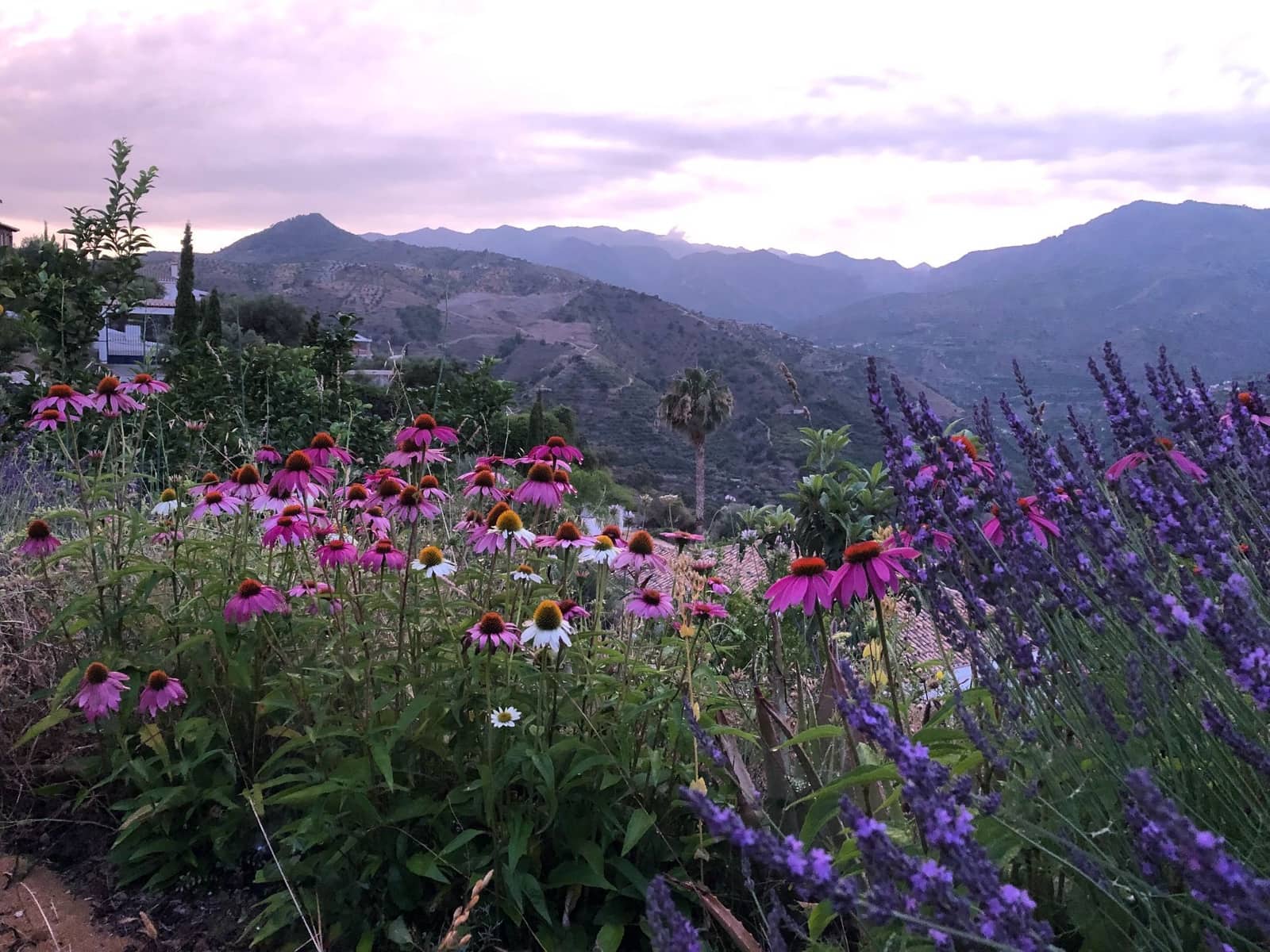 4 soveværelse Finca/Landehus til salg i Almunecar med swimmingpool garage - € 499.000 (Ref: 9008398)