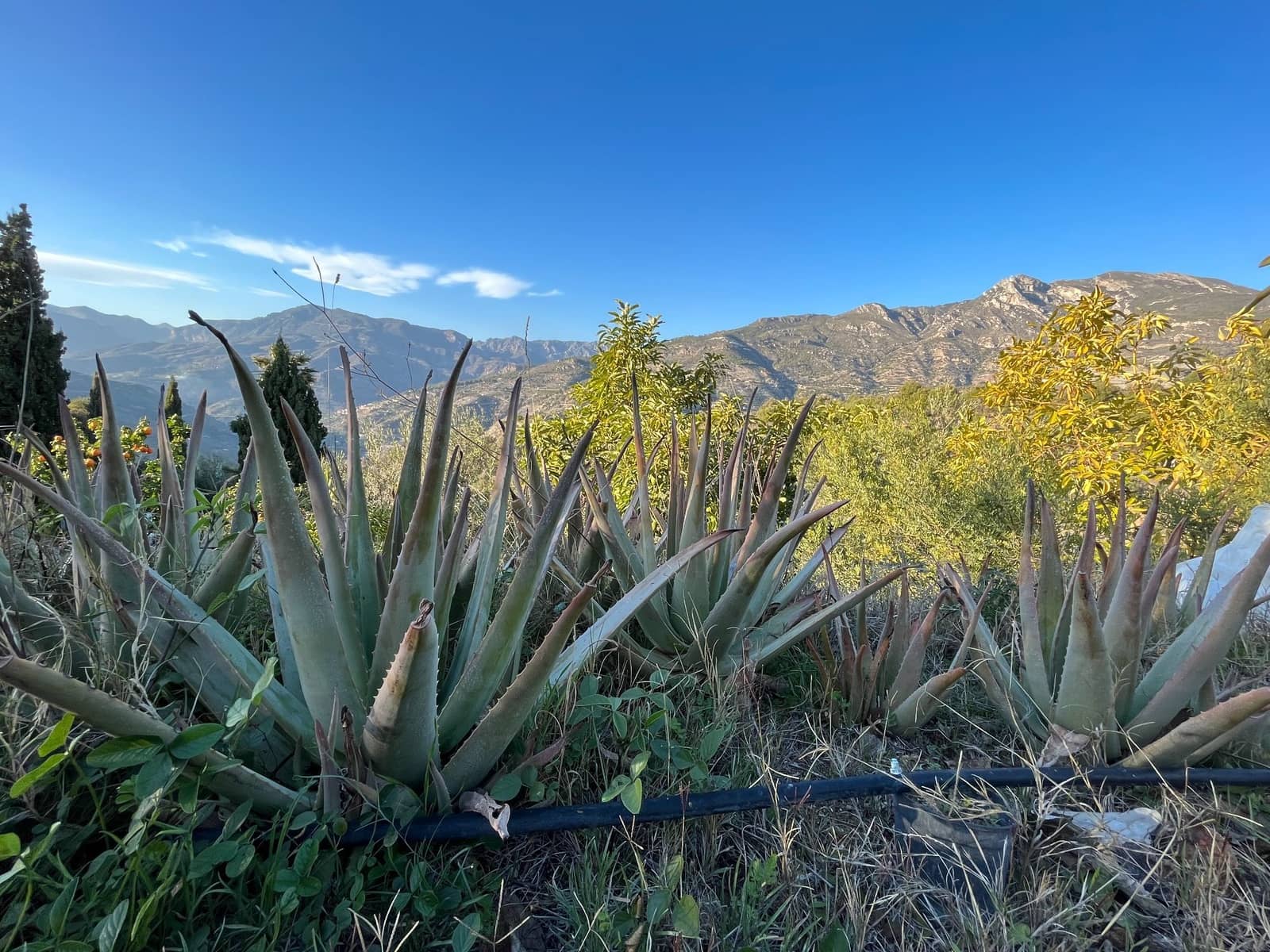 4 soveværelse Finca/Landehus til salg i Almunecar med swimmingpool garage - € 499.000 (Ref: 9008398)