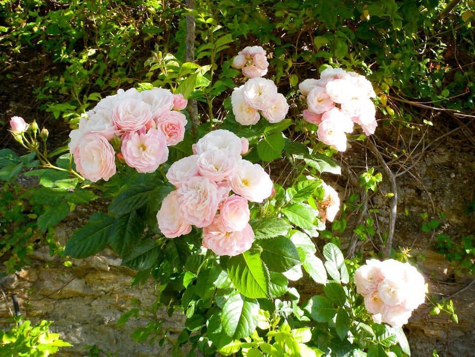 4 soveværelse Finca/Landehus til salg i Almunecar med swimmingpool garage - € 499.000 (Ref: 9008398)