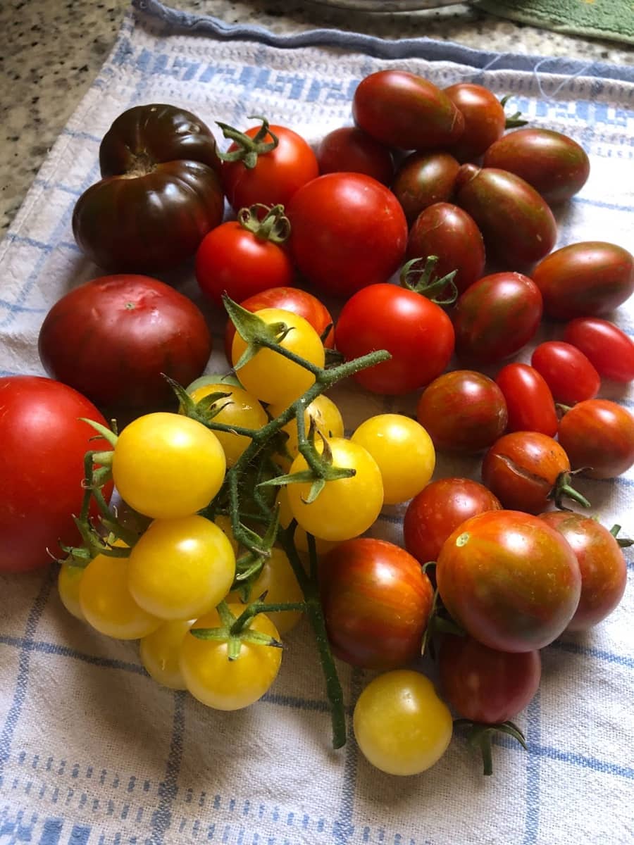 4 soveværelse Finca/Landehus til salg i Almunecar med swimmingpool garage - € 499.000 (Ref: 9008398)