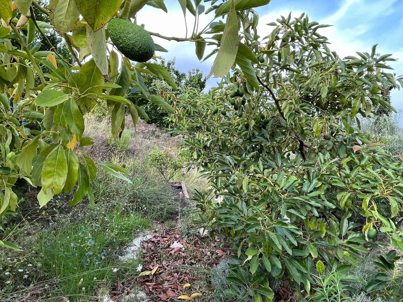 4 soveværelse Finca/Landehus til salg i Almunecar med swimmingpool garage - € 499.000 (Ref: 9008398)