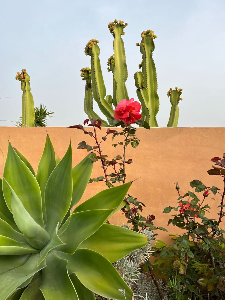 4 soveværelse Finca/Landehus til salg i Almunecar med swimmingpool garage - € 499.000 (Ref: 9008398)