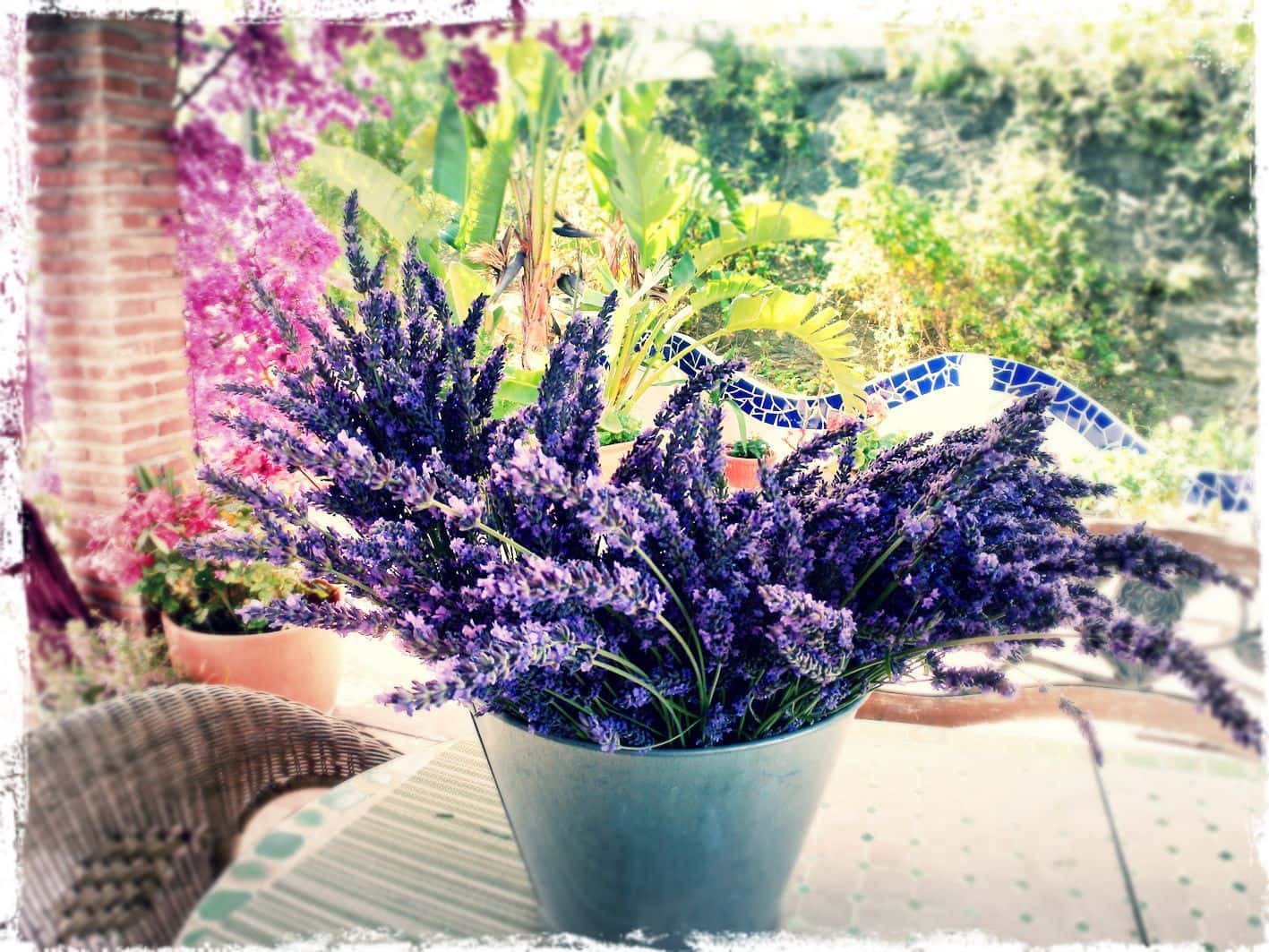 4 soveværelse Finca/Landehus til salg i Almunecar med swimmingpool garage - € 499.000 (Ref: 9008398)