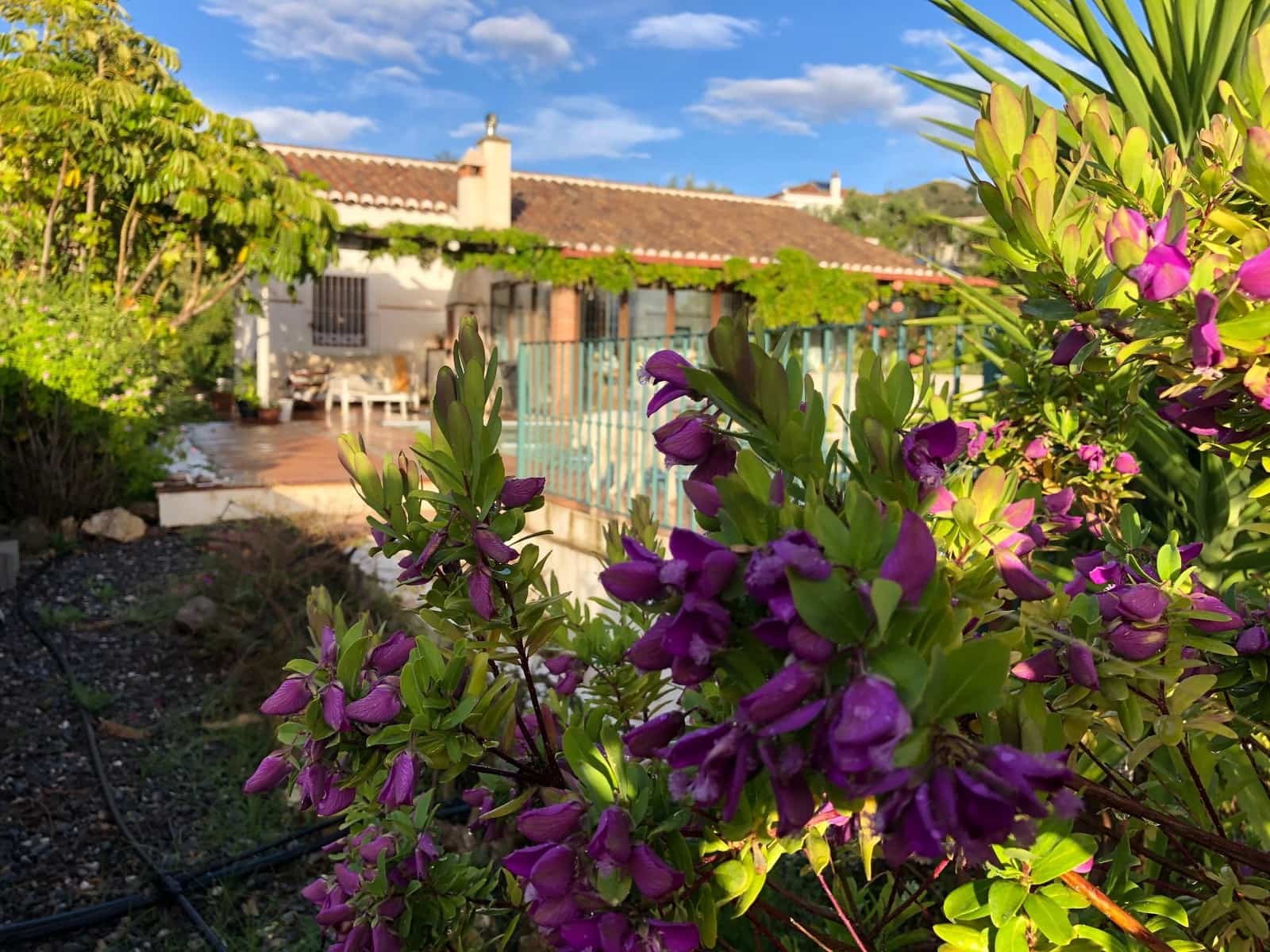 4 soveværelse Finca/Landehus til salg i Almunecar med swimmingpool garage - € 499.000 (Ref: 9008398)