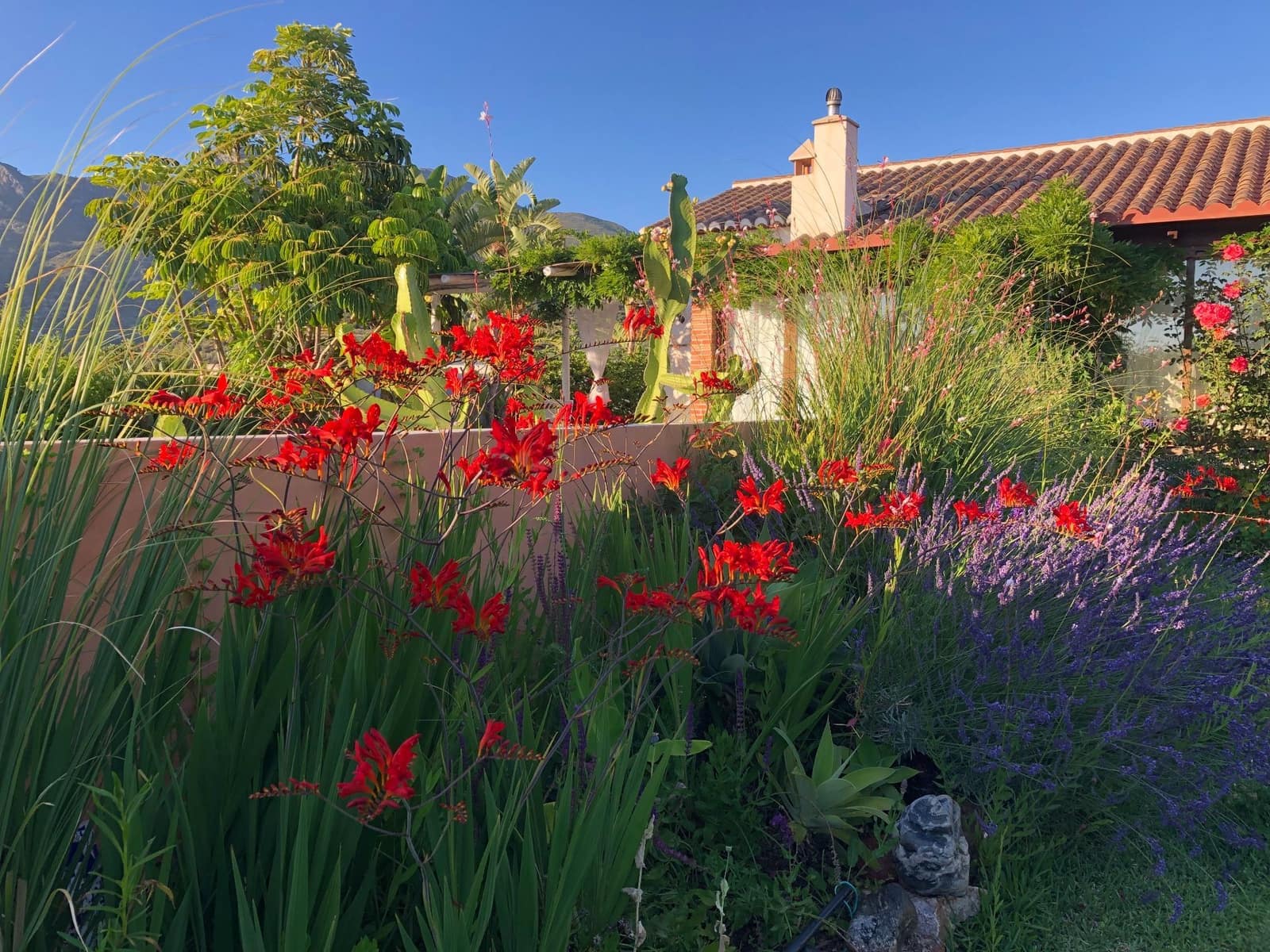 4 soveværelse Finca/Landehus til salg i Almunecar med swimmingpool garage - € 499.000 (Ref: 9008398)