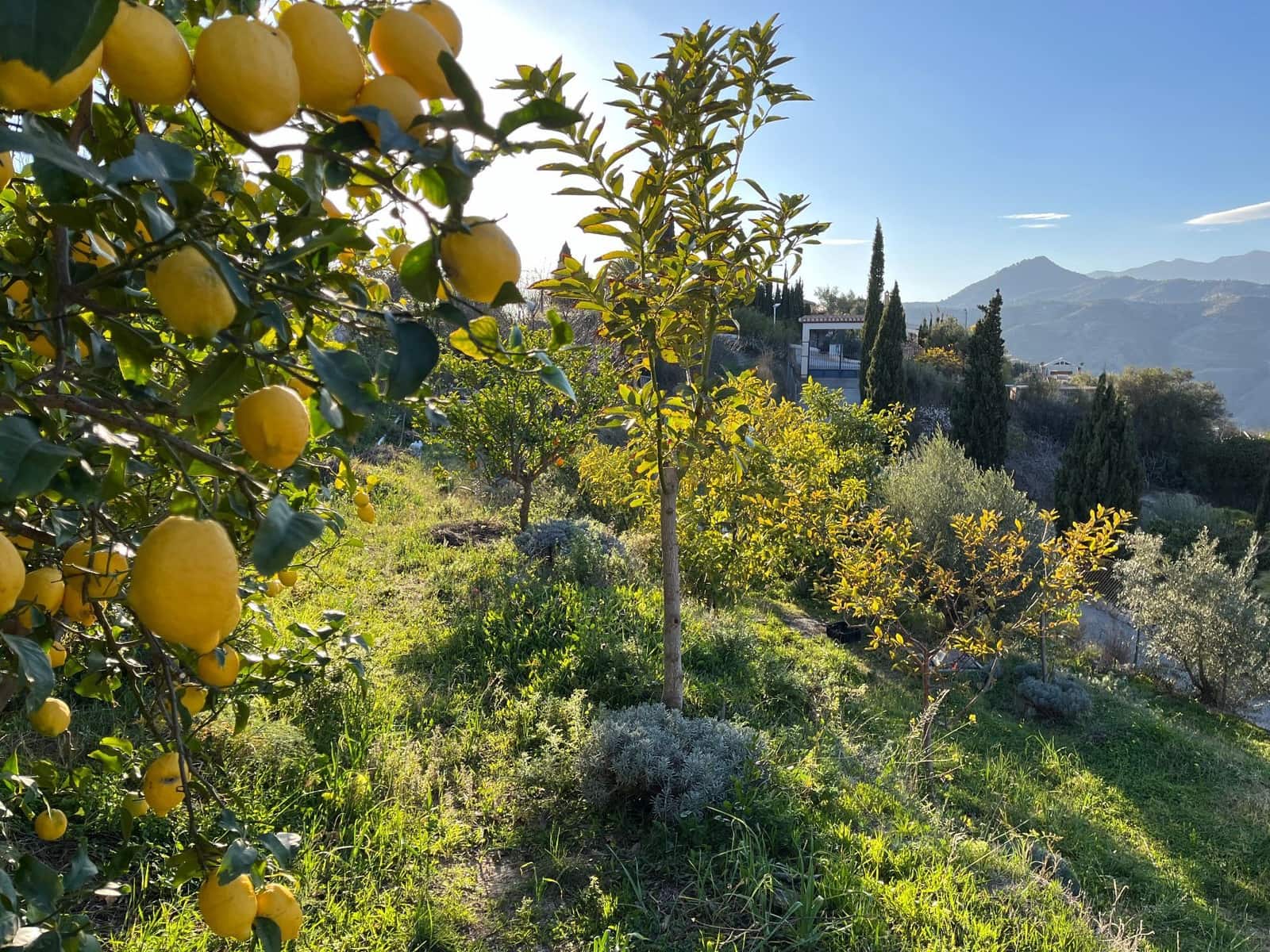 4 soveværelse Finca/Landehus til salg i Almunecar med swimmingpool garage - € 499.000 (Ref: 9008398)