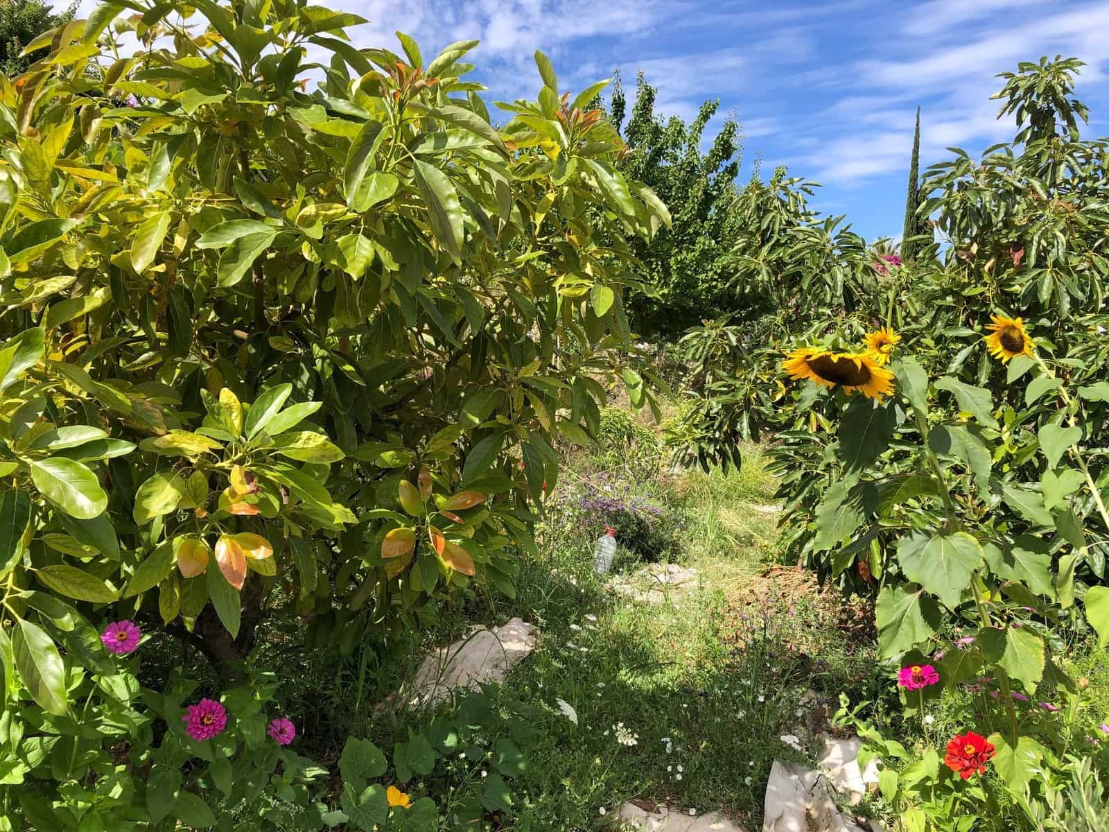 4 soveværelse Finca/Landehus til salg i Almunecar med swimmingpool garage - € 499.000 (Ref: 9008398)