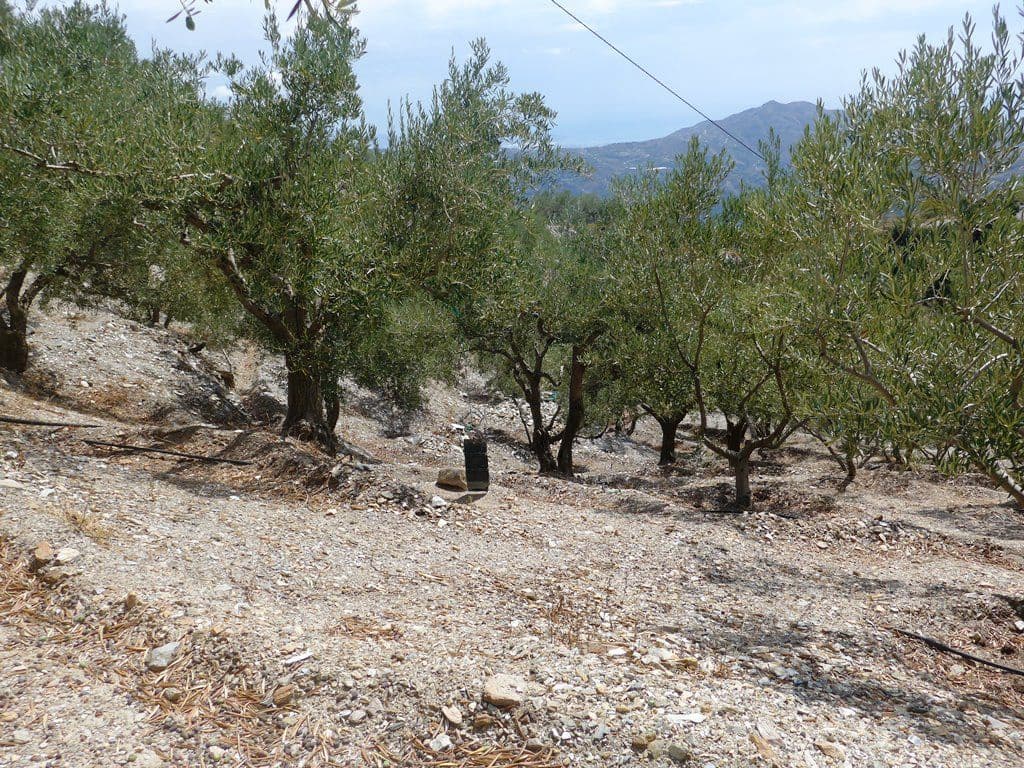 2 soveværelse Finca/Landehus til salg i Otivar med swimmingpool garage - € 214.000 (Ref: 9219670)