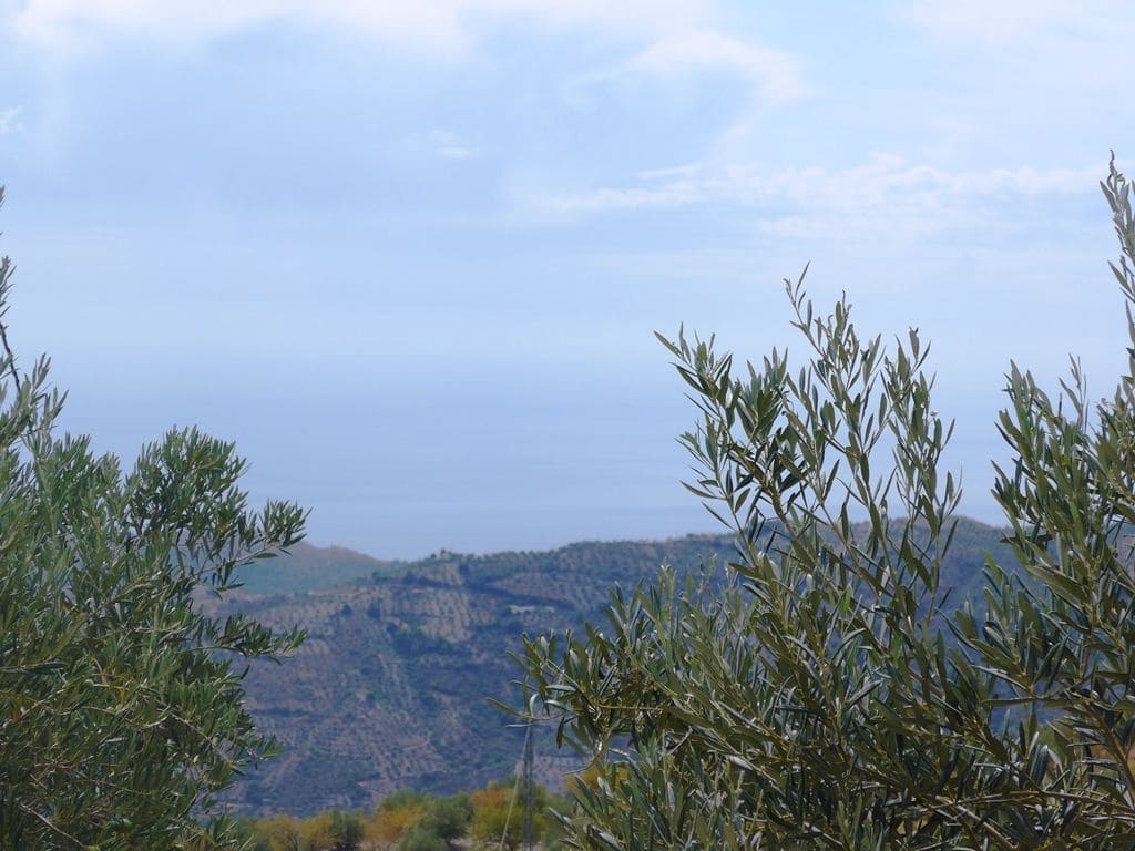 2 soveværelse Finca/Landehus til salg i Otivar med swimmingpool garage - € 214.000 (Ref: 9219670)