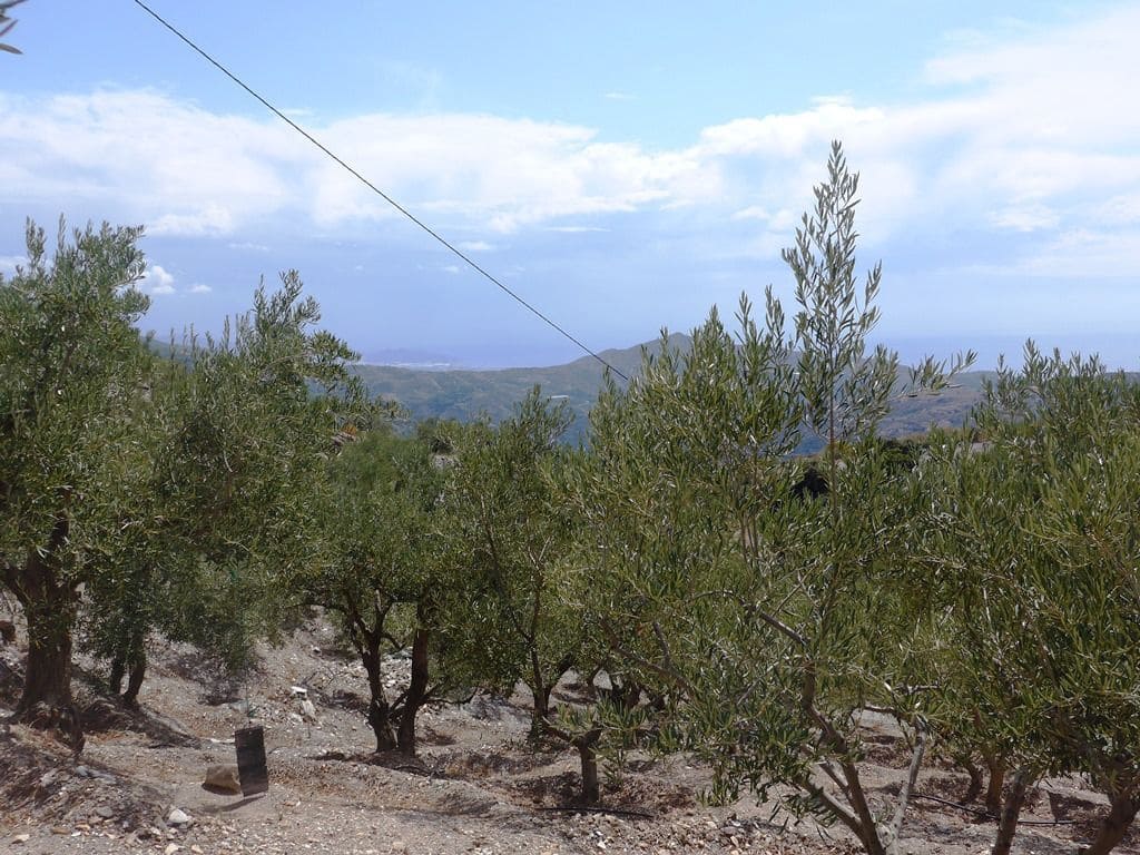 2 soveværelse Finca/Landehus til salg i Otivar med swimmingpool garage - € 214.000 (Ref: 9219670)