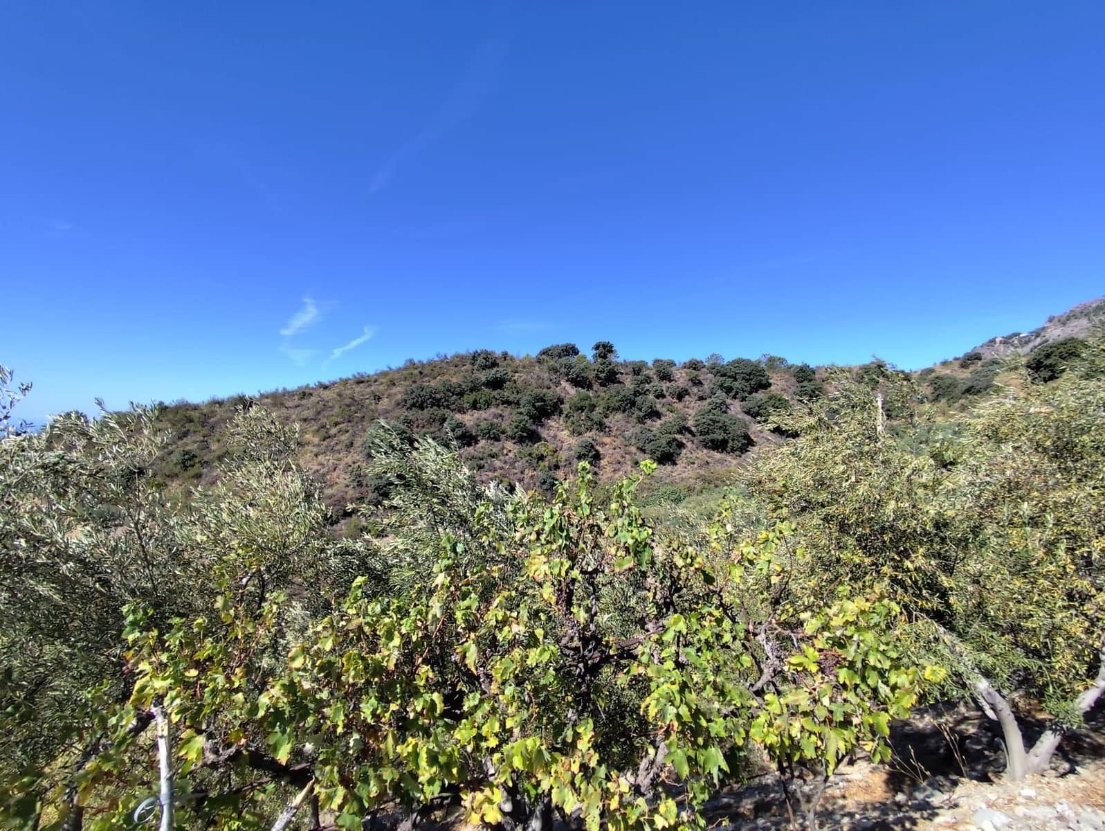 2 soveværelse Finca/Landehus til salg i Otivar med swimmingpool garage - € 214.000 (Ref: 9219670)