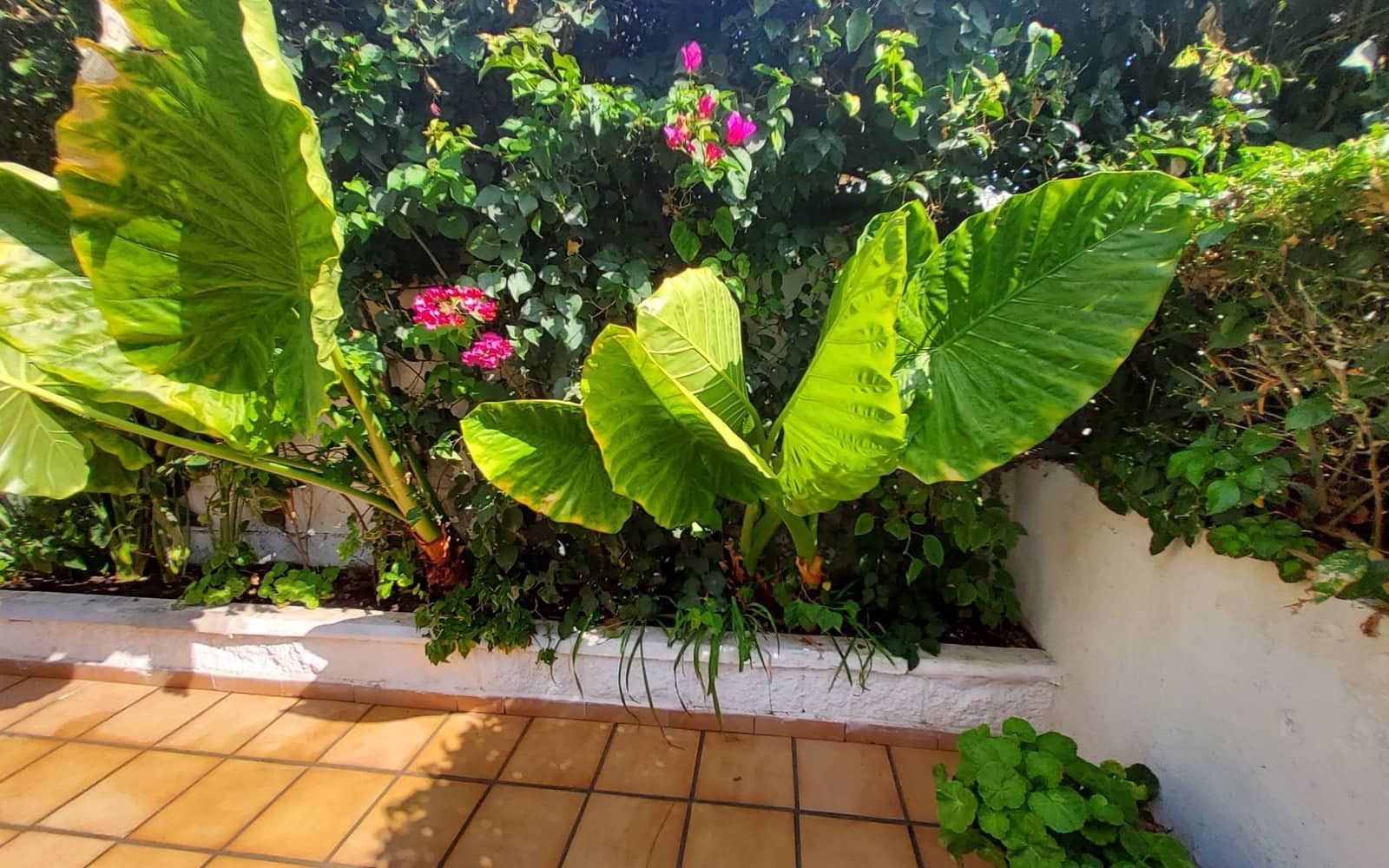 4 slaapkamer Villa te koop in Almunecar met zwembad garage - € 625.000 (Ref: 9232158)