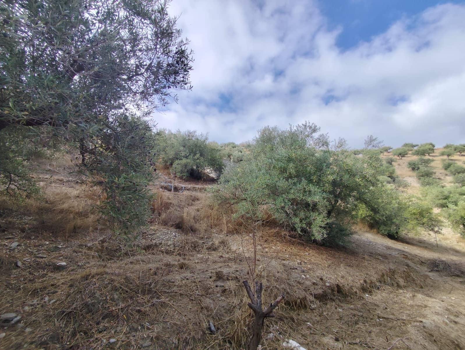 1 soveværelse Finca/Landehus til salg i Almunecar med garage - € 139.000 (Ref: 9296609)