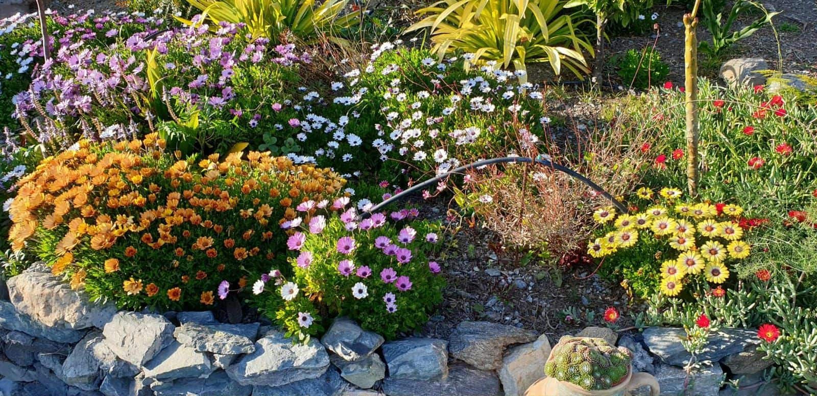 2 slaapkamer Villa te koop in Almunecar met zwembad garage - € 380.000 (Ref: 9439629)