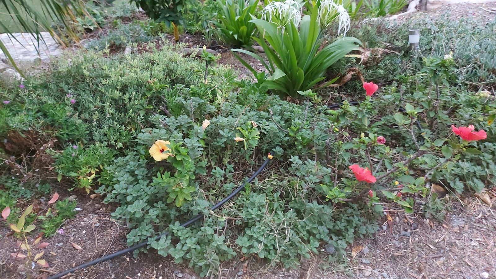 2 slaapkamer Villa te koop in Almunecar met zwembad garage - € 380.000 (Ref: 9439629)