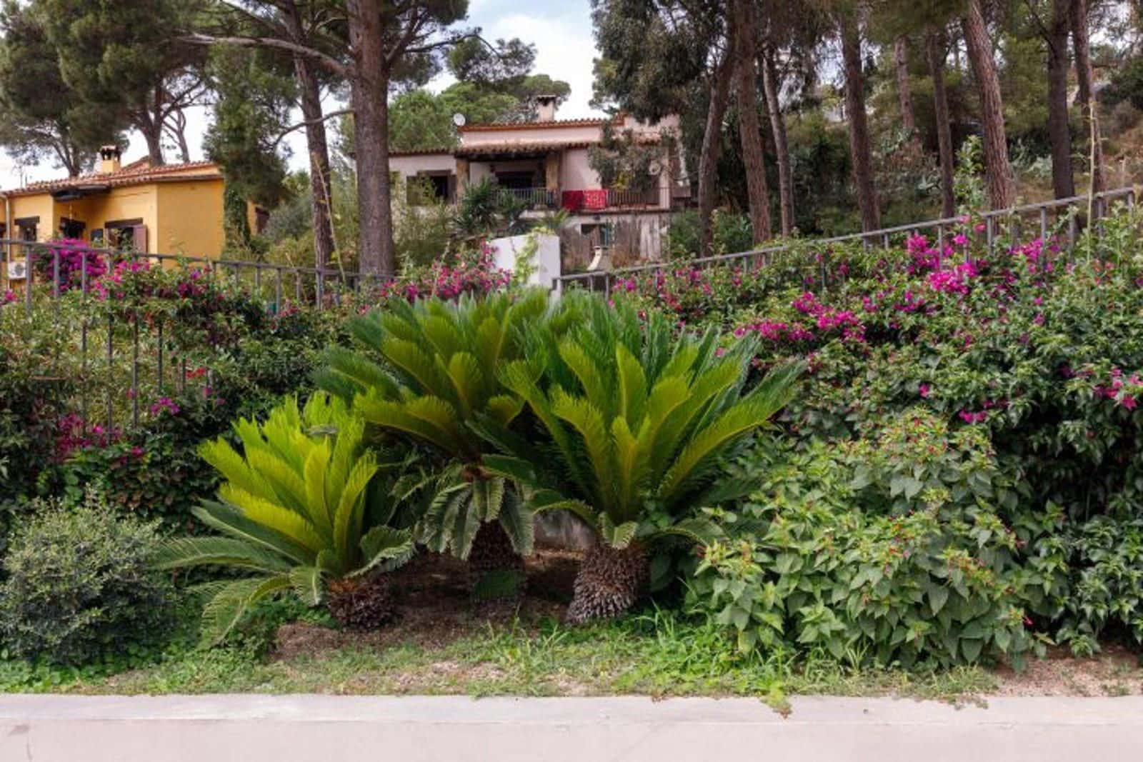 4 camera da letto Villa in vendita in Begur con piscina garage - 1.350.000 € (Rif: 8583363)