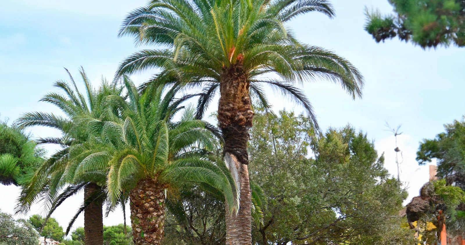 Erhverv til salg i Palafrugell - € 250.000 (Ref: 8600157)