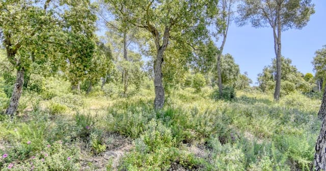 Building Plot for sale in Begur - € 60,000 (Ref: 9019213)