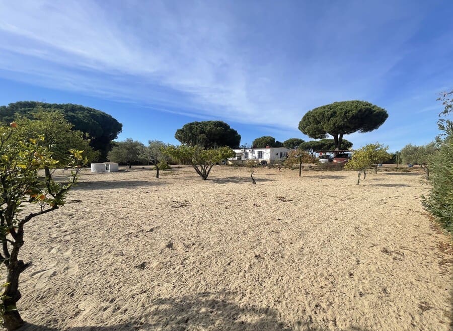 3 chambre Finca/Maison de Campagne à vendre à Bonares avec piscine garage - 168 000 € (Ref: 10177585)