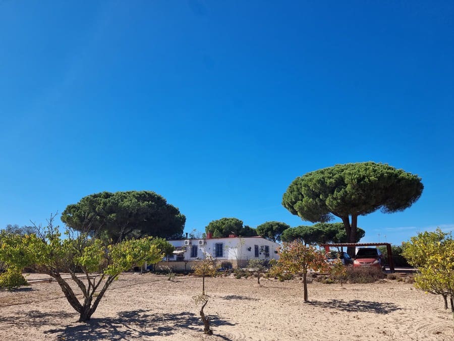 3 chambre Finca/Maison de Campagne à vendre à Bonares avec piscine garage - 168 000 € (Ref: 10177585)