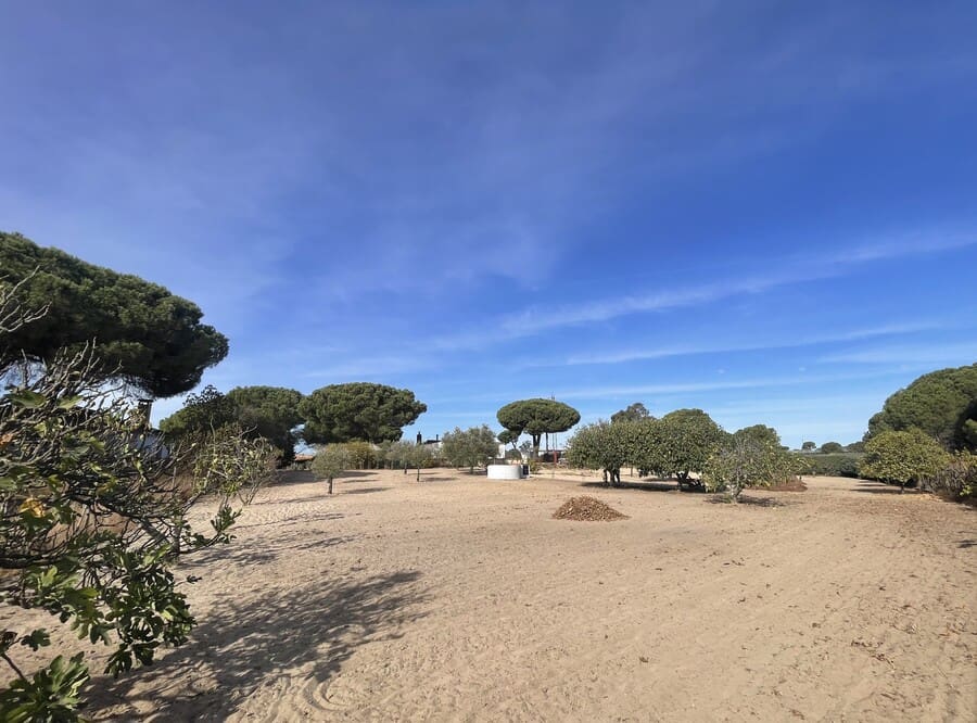 3 chambre Finca/Maison de Campagne à vendre à Bonares avec piscine garage - 168 000 € (Ref: 10177585)