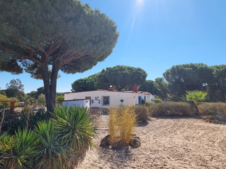 3 chambre Finca/Maison de Campagne à vendre à Bonares avec piscine garage - 168 000 € (Ref: 10177585)