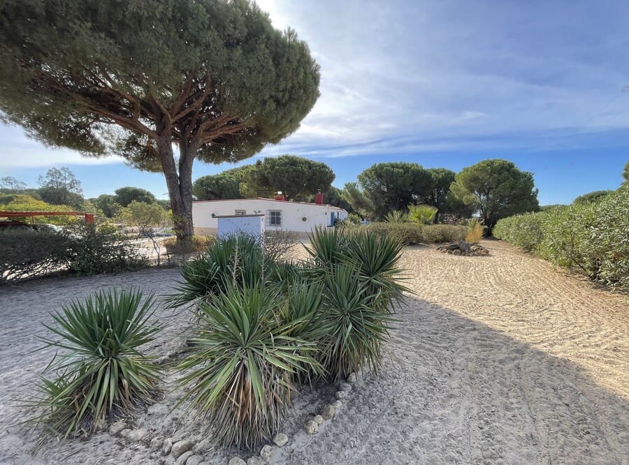 3 chambre Finca/Maison de Campagne à vendre à Bonares avec piscine garage - 168 000 € (Ref: 10177585)