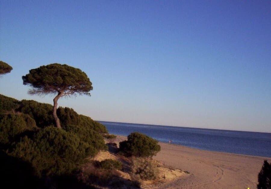 3 bedroom Townhouse for sale in Nuevo Portil with pool garage - € 249,000 (Ref: 4972565)