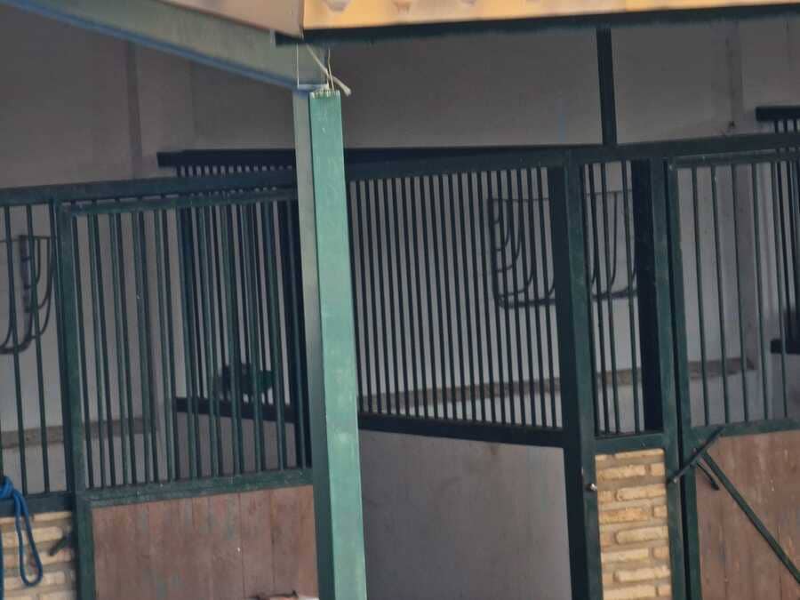 3 makuuhuone Maalaistalo myytävänä paikassa Lucena del Puerto mukana uima-altaan 
autotalli - 250 000 € (Ref: 9678131)