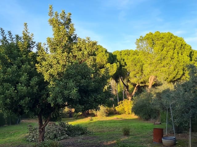 3 slaapkamer Finca/Landhuis te koop in Hinojos met garage - € 137.000 (Ref: 9678133)