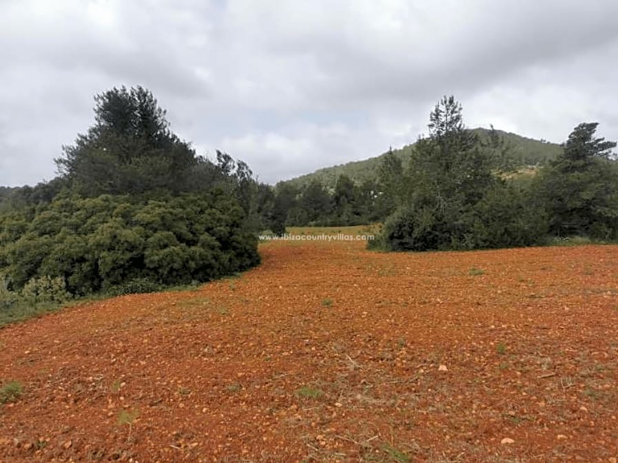 Grond te koop in Sant Antoni de Portmany - € 2.500.000 (Ref: 7858021)