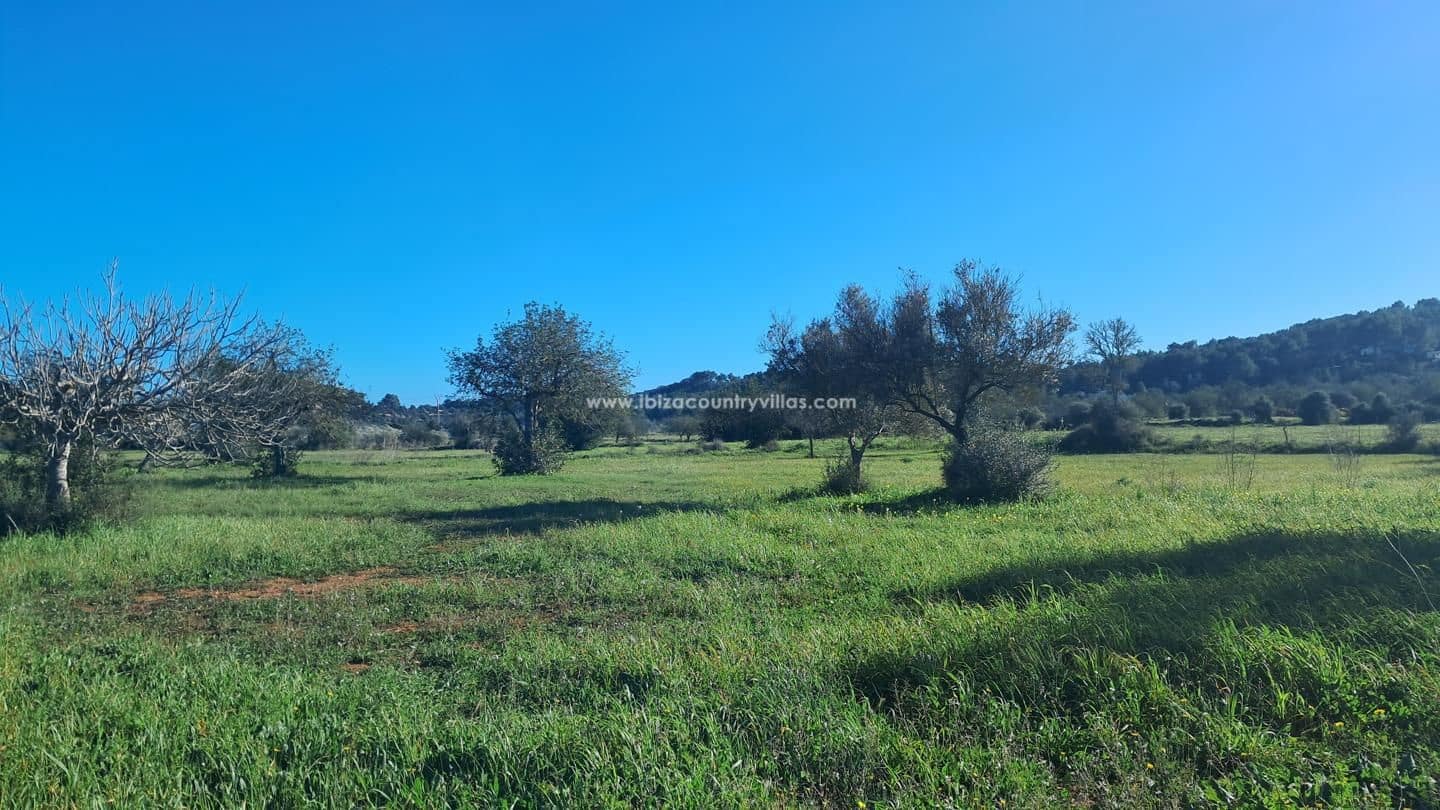 Grunde uden byggetilladelser til salg i Santa Eulalia / Santa Eularia - € 2.840.000 (Ref: 8524783)