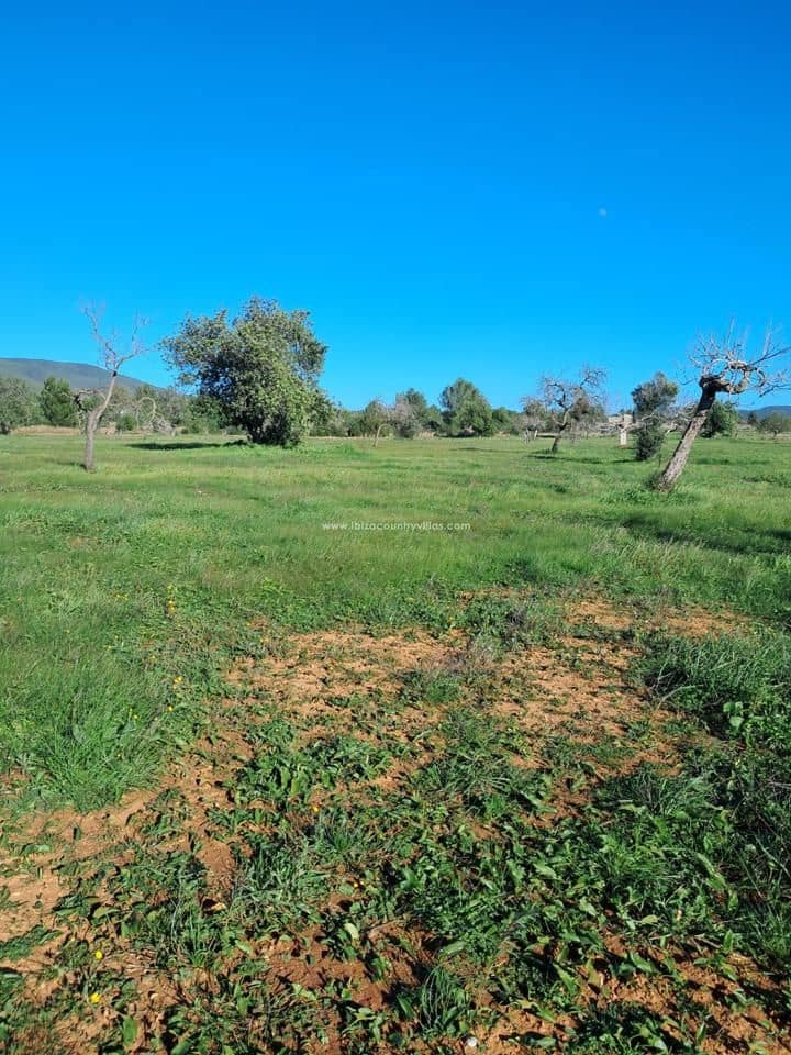 Landgrundstück zu verkaufen in Santa Eulalia / Santa Eularia - 2.840.000 € (Ref: 8524783)