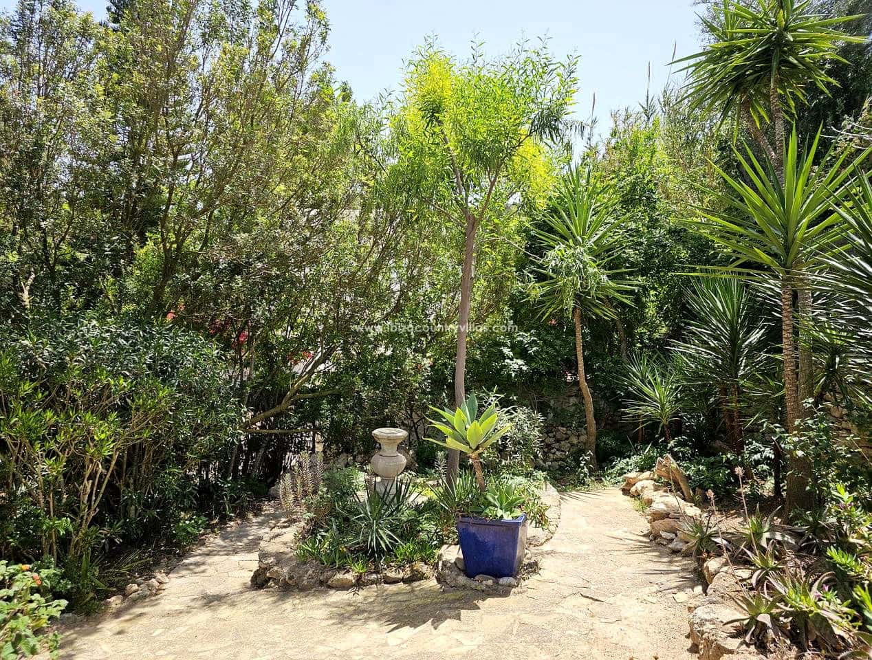 5 bedroom Finca/Country House for sale in Ibiza / Eivissa town - € 3,900,000 (Ref: 9026171)