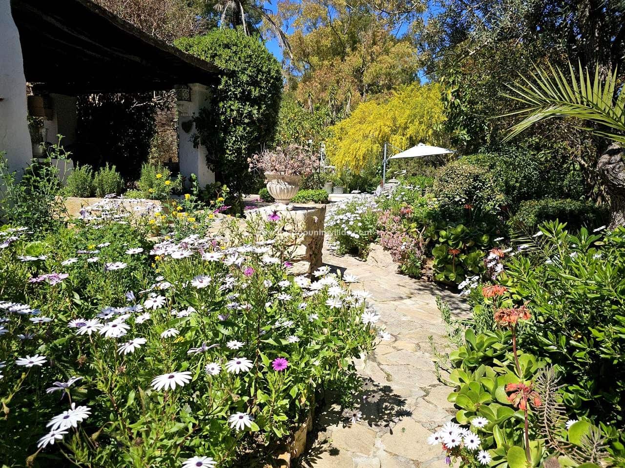 5 bedroom Finca/Country House for sale in Ibiza / Eivissa town - € 3,900,000 (Ref: 9026171)