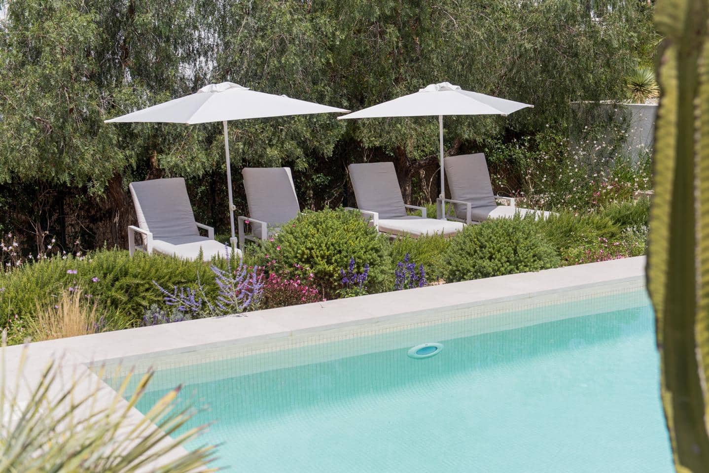 4 soveværelse Villa til salg i Cap Martinet med swimmingpool - € 4.850.000 (Ref: 9061490)