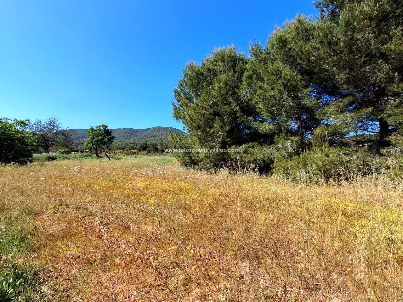 6 slaapkamer Villa te koop in Sant Carles de Peralta met zwembad - € 5.500.000 (Ref: 9503366)