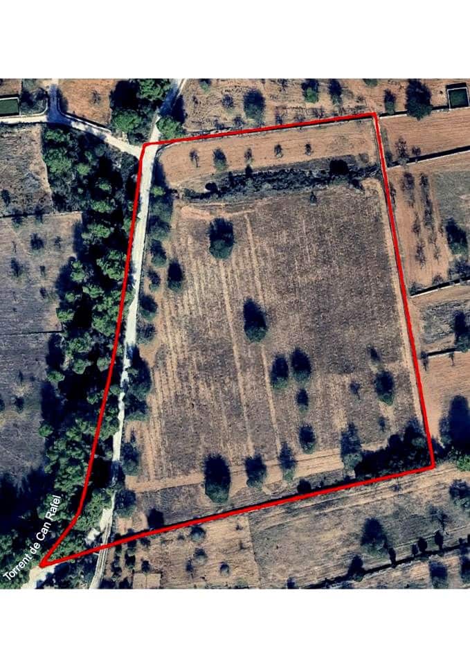 Teren niezagospodarowany na sprzedaż w Miasto Ibiza / Eivissa - 725 000 € (Ref: 9685150)