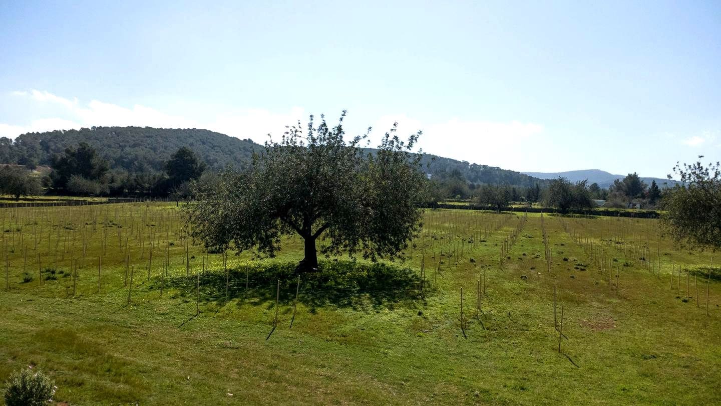 Teren niezagospodarowany na sprzedaż w Miasto Ibiza / Eivissa - 725 000 € (Ref: 9685150)