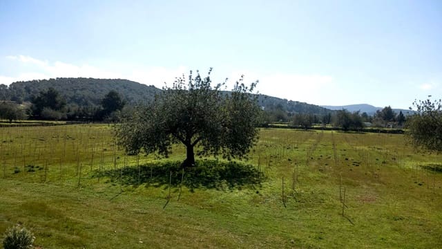 Teren niezagospodarowany na sprzedaż w Miasto Ibiza / Eivissa - 725 000 € (Ref: 9685150)